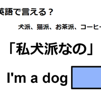 英語で「私犬派なの」はなんて言う？