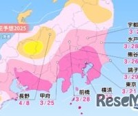 各エリアの桜開花予想・関東甲信