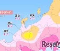 各エリアの桜開花予想・北陸