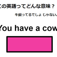 この英語ってどんな意味？「You have a cow. 」