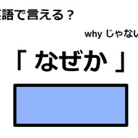 英語で「なぜか」はなんて言う？