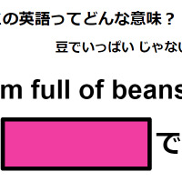 この英語ってどんな意味？「I’m full of beans.」