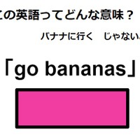 この英語ってどんな意味？「go bananas」