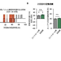 早期ノンレム睡眠時の扁桃体→M2入力の抑制による床面記憶の強化のみの阻害