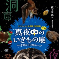 サンシャイン水族館 特別展「真夜中のいきもの展」