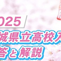 千葉テレビ（チバテレ）：2025 茨城県立高校入試 解答と解説