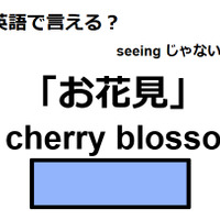 英語で「お花見」はなんて言う？