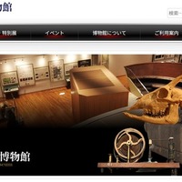 京都大学総合博物館