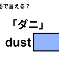 英語で「ダニ」はなんて言う？