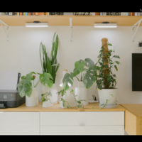 部屋に置かれた観葉植物の花瓶は、Matthewさんがデザインし、この3Dプリンタで出力したものだ。