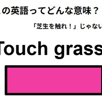 この英語ってどんな意味？「Touch grass. 」