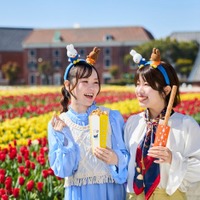 画像はイメージ（C）Mercis bv