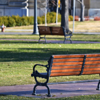 イギリスで…都会の公園を訪れた瞬間→日本では見られない光景に「異世界みたい」「すごい！」