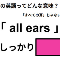 この英語ってどんな意味？「all ears」