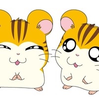 トラハムちゃん、トラハムくん（C）河井リツ子／小学館・SMDE（C）河井リツ子／小学館・SMDE・テレビ東京（C）とっとこ8686プロジェクト　2001
