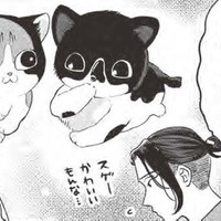 子猫二匹との出会いが運命を変える？…貧乏作曲家、里親へ一歩前進？【借金1000万作曲家の人生を変えてくれた猫の話 #３】
