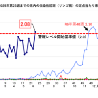 伝染性紅斑（リンゴ病）急増、妊婦は要注意…千葉県は警報レベルへ