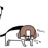 ジャーキーを食べる愛犬がかわいい思わず口に近づいてみると…【パンダと犬 ＃６】