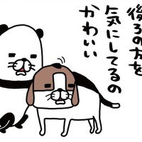 自分がした「おなら」の音にびっくり！愛犬・梅吉が少し後ろを確認してるのは、なぜ？【パンダと犬 ＃７】