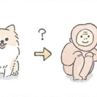 ポメラニアンは成長中の換毛期に「サル」のようになる…?! でもかわいさは今も昔も変わらない【うちのむっくはいつも楽しそう #８ 】