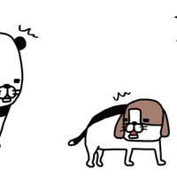 犬と洋服の間に素足を潜りこませた時の感覚 知ってる人、いる？【パンダと犬 ＃16】