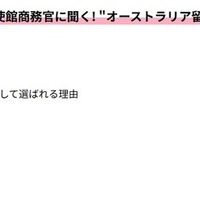 内容