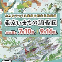 東京いきもの調査団 2025夏編 チラシ