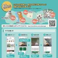 東京いきもの調査団 2025夏編 チラシ