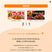 診断結果画面3
