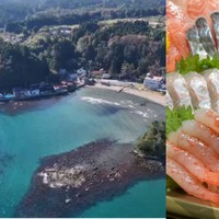 【2025年 能登の旅】心と体が癒される！パワーをもらえるスポット5選。東京⇔能登の二拠点生活者がご案内！