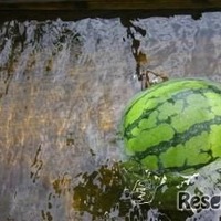 小学1・2年生向け自由研究テーマ例「水に浮くもの・沈むものを調べよう」