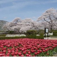 京都府立植物園