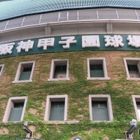 【高校野球2025夏】花巻東が勝利、智辯和歌山を制す