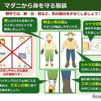 マダニから身を守る服装