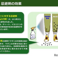 忌避剤の効果