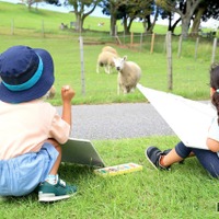 マザー牧場「秋のこども写生大会」