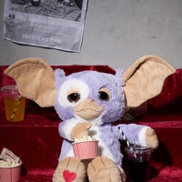 《WEB限定》ギズモ Heart 50cm　9,460円