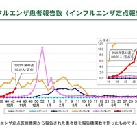 都内におけるインフルエンザ患者報告数（インフルエンザ定点報告）過去6シーズン