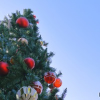 【中学受験】来月行ける中高一貫・女子校「学校見学」12月…白百合、吉祥女子など