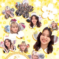 「そこ曲がったら、櫻坂？」のBlu-ray／卒業生編（提供写真）