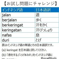 お試し問題にチャレンジ