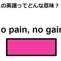 この英語ってどんな意味？「No pain, no gain.」