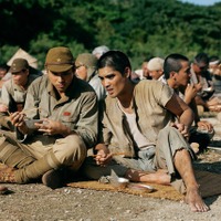 『木の上の軍隊』©2025「木の上の軍隊」製作委員会