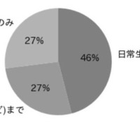 予定を記入して管理するスタイル