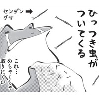 ひっつき虫を服につけて、どんぐりをポケットに入れる…秋がやってきたと感じます【カエル母さん #６】