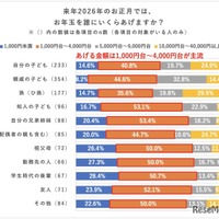 お年玉を誰にいくらあげるか