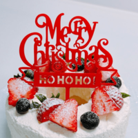 渡辺美奈代、DAISOの型で手作りクリスマスケーキ！完成度に称賛の声「綺麗で可愛い」「お店のよう」