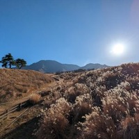 ウイルスや寒さの影響で体調を崩しがちな「冬至」の時季、「意外な３つの海鮮」を食べるべし？１つは赤くて２つは白くて