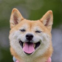 玄関で大はしゃぎする友達の犬　すると、足元にきて⇒まさかの行動に「えー！」「切り替えが激しい」