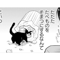 【猫視点】食べ物につられて来ちゃったけど、この人間、なにも食べない!? なんで!?【同居人はひざ、時々、頭のうえ。 #８】